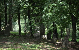 Cmentarz Żydowski w Nowym Wiśniczu 4