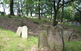 Cmentarz Żydowski w Nowym Wiśniczu 7