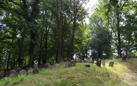 Cmentarz Żydowski w Nowym Wiśniczu 8