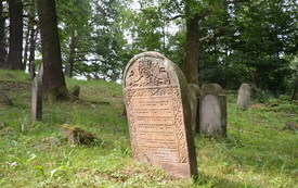 Cmentarz Żydowski w Nowym Wiśniczu 9