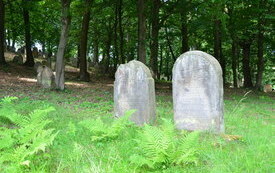 Cmentarz Żydowski w Nowym Wiśniczu 11