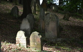 Cmentarz Żydowski w Nowym Wiśniczu 12