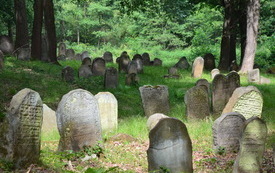 Cmentarz Żydowski w Nowym Wiśniczu 13