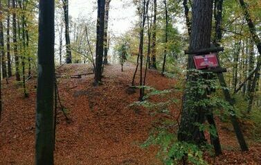 las, teren pochylony, jesienne liście, drzewa na jednym z nich czerwona tabliczka