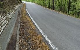 Czyszczenie row&oacute;w przy drodze relacji Much&oacute;wka-Kr&oacute;l&oacute;wka