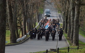 korow&oacute;d idzie drogą, bo obu stronach drzewa