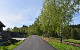 dom, droga, wysokie drzewa