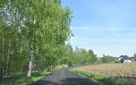 dorga, ziele po prawej pole uprawne