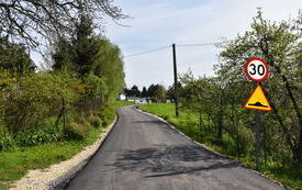 droga, zieleń, znaki