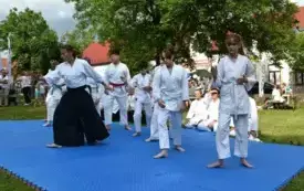 pokaz sekcji aikido na murawie