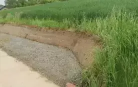 Miejsce do mijania przy drodze w Leksandrowej