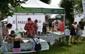 stoisko Zespołu Park&oacute;w Krajobrazowych na stoisku