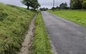 wybrany r&oacute;w