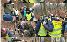 kolarz ze zdjęć uczestnik&oacute;w projektu