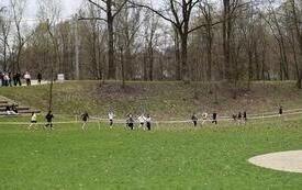 biegną zawodnicy