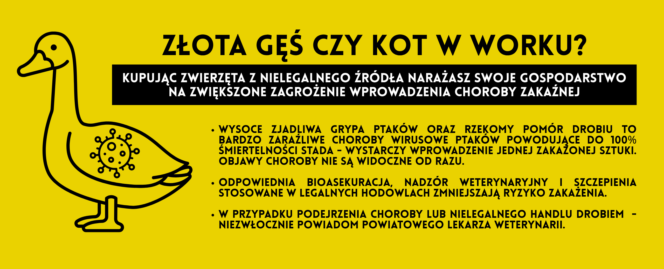 nielegalna_sprzedaż_drobiu
