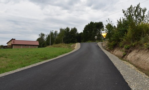 droga asfaltowa, pobocza, drzewa